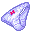 2507